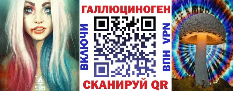 Купить где  Высоцк  Галлюциногенные грибы Psilocybine cubensis 